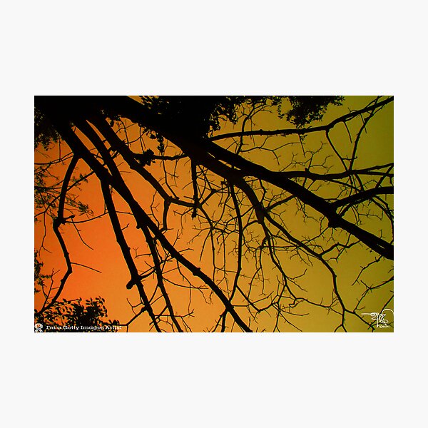 Item preview, Sun Rise at Sylhet  designed and sold by HamimCHOWDHURY.