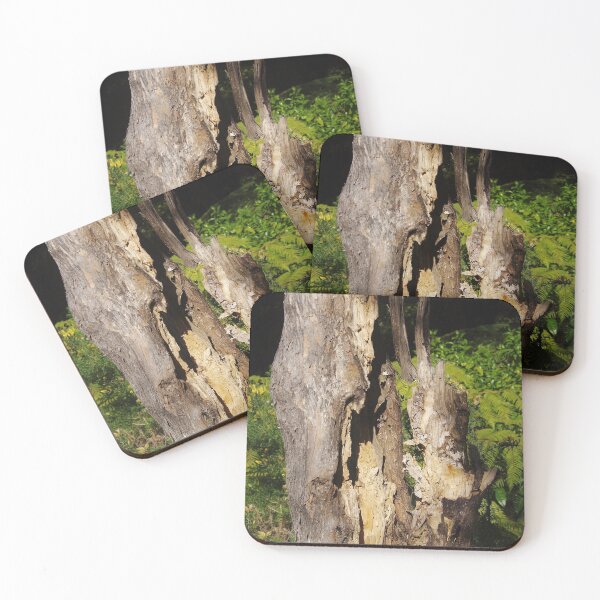 Item preview, Tree trunk designed and sold by lezvee.