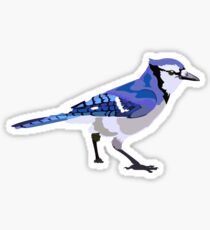 Blue Jay Sticker