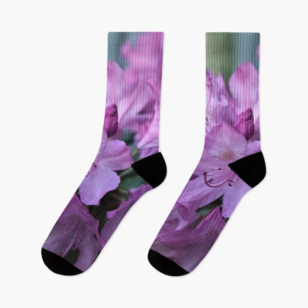 Item preview, Spring Beauty designed and sold by RVogler.