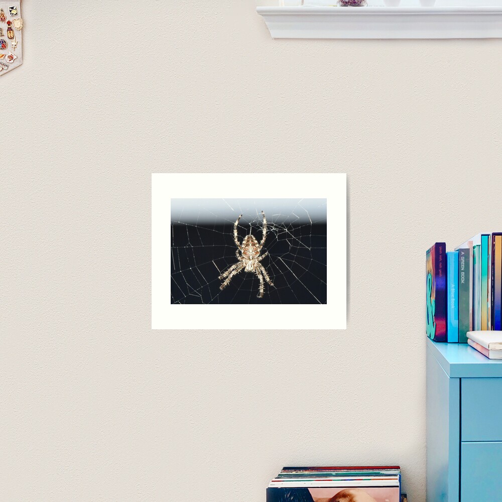 Arachnid Art Print