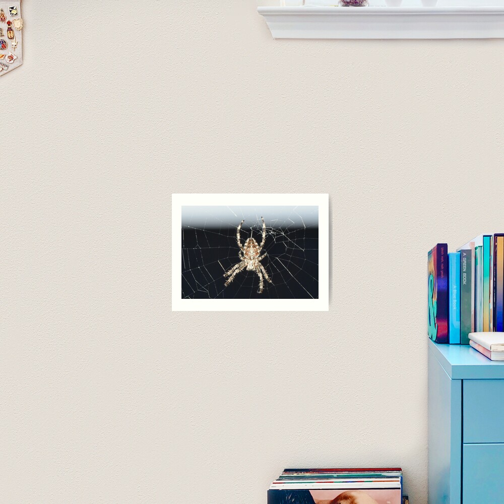 Arachnid Art Print