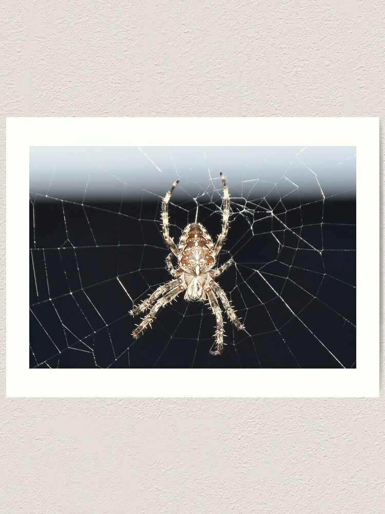 Alternate view of Arachnid Art Print