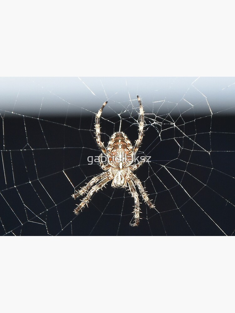 Arachnid by gabriellaksz
