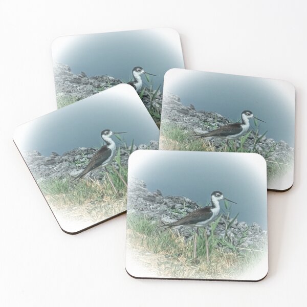 Item preview, Black-necked Stilt designed and sold by Len Bomba.