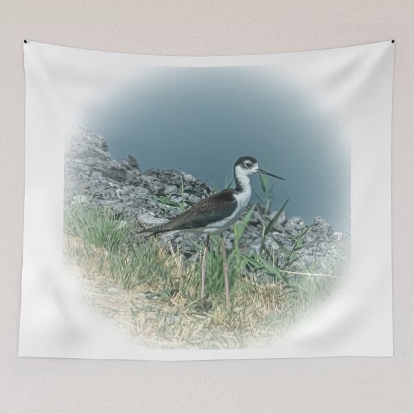 Item preview, Black-necked Stilt designed and sold by Len Bomba.