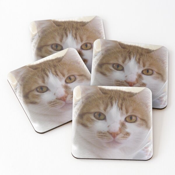 Item preview, Hope You Have A Purrfect Day! designed and sold by Lynn Marie Sharp.