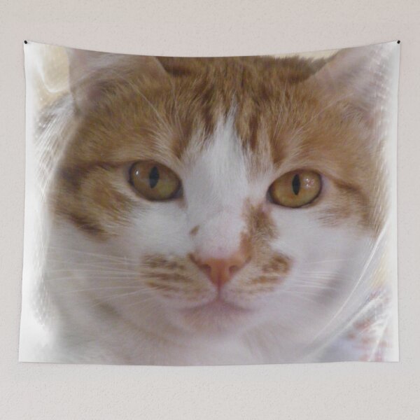 Item preview, Hope You Have A Purrfect Day! designed and sold by Lynn  Marie Sharp.