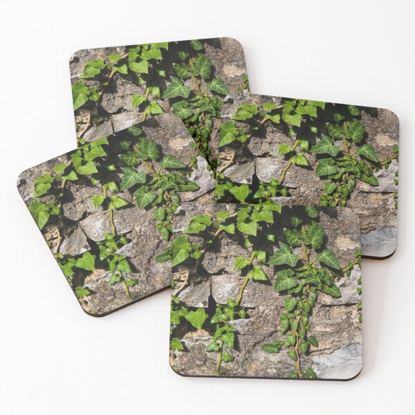 Item preview, Crawling Ivy designed and sold by Rae Tucker Photography & Designs.