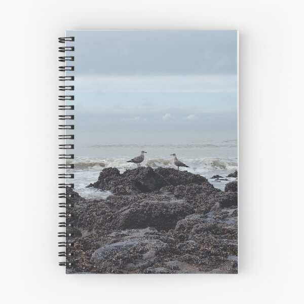 Item preview, Seagulls on the coast of Ostend, Belgium designed and sold by Cedric Urbany.