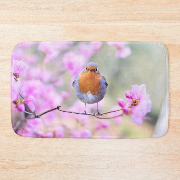 Item preview, Robin designed and sold by fourretout.