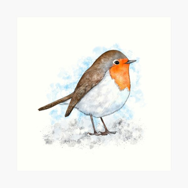 Robin in the snow Art Print