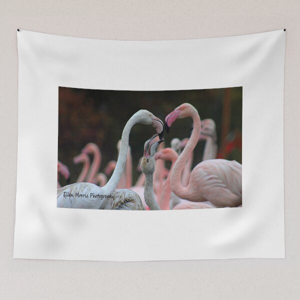 Item preview, Greater Flamingos designed and sold by ellenmpics.