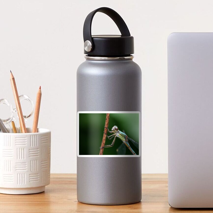 "Eyes Like Saucers" Sticker for Sale by cuprum Redbubble