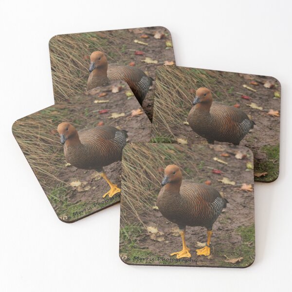 Item preview, Wetland Duck designed and sold by ellenmpics.