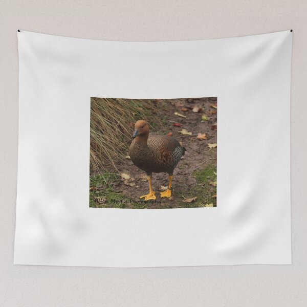 Item preview, Wetland Duck designed and sold by ellenmpics.