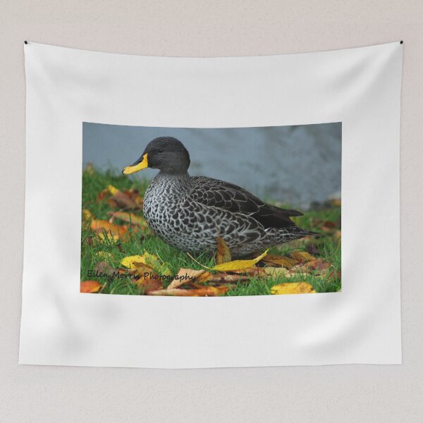 Item preview, Wetland Duck designed and sold by ellenmpics.