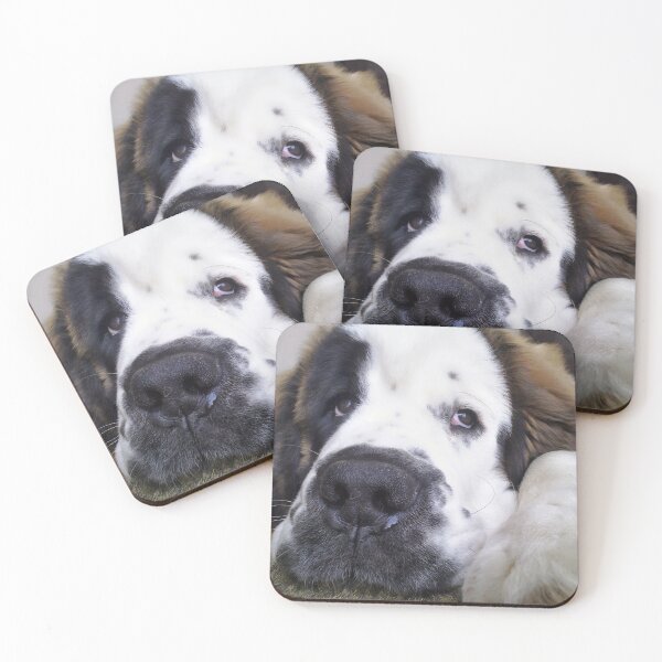 Item preview, Beautiful Saint Bernard puppy relaxing designed and sold by HaleyRedshaw.