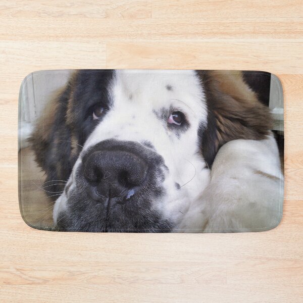 Item preview, Beautiful Saint Bernard puppy relaxing designed and sold by HaleyRedshaw.