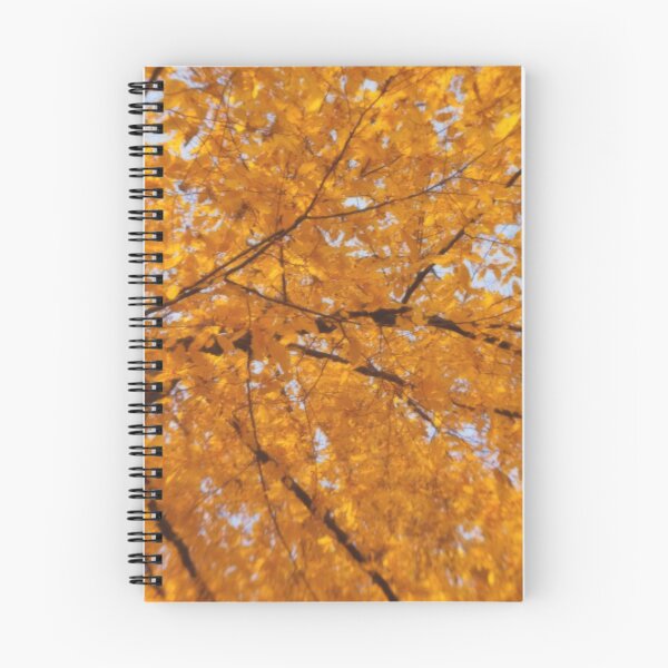 Item preview, Autumn Glow designed and sold by Kasia Design.