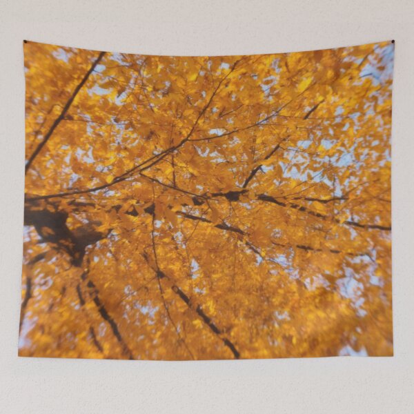 Item preview, Autumn Glow designed and sold by Kasia Design.