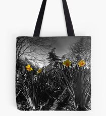 Daffs in grey Tote Bag