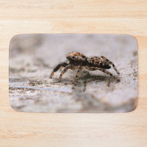 Item preview, itsy bitsy tini wini baby jumping spider designed and sold by cuprum.