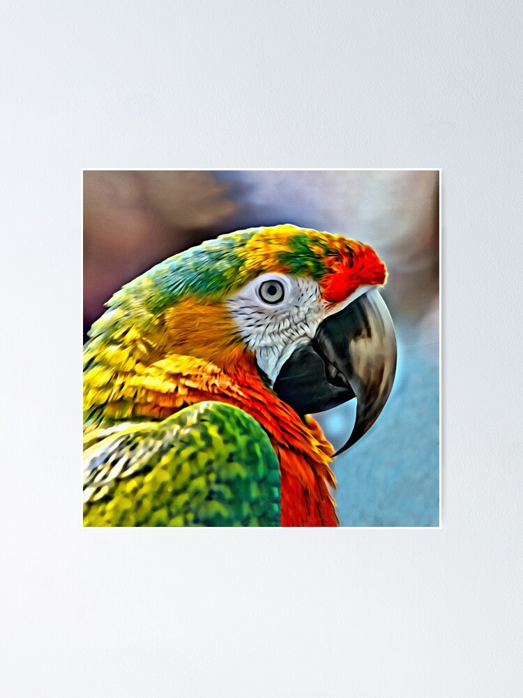 Thumbnail 1 of 3, Poster, Colorful Macaw designed and sold by DigitalEffects.