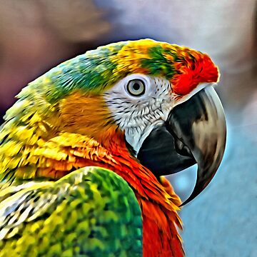 Artwork thumbnail, Colorful Macaw by DigitalEffects