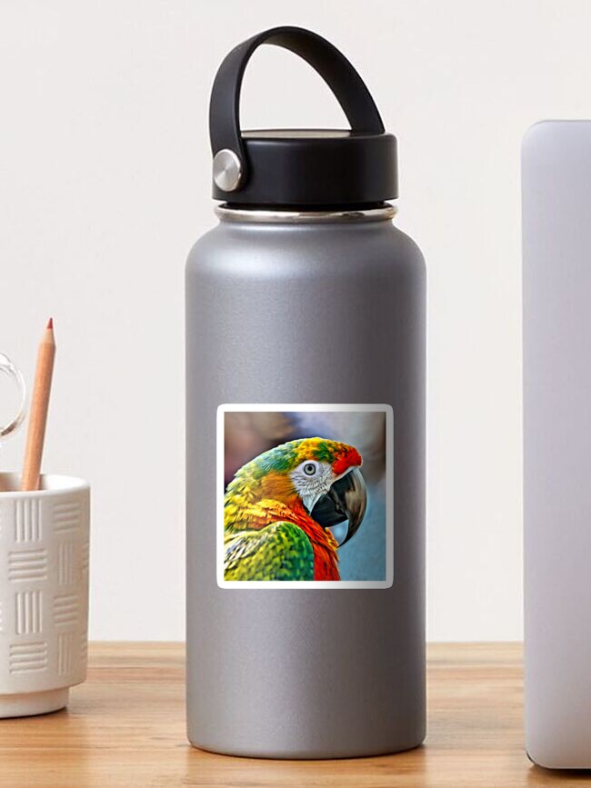 Thumbnail 1 of 3, Sticker, Colorful Macaw designed and sold by DigitalEffects.