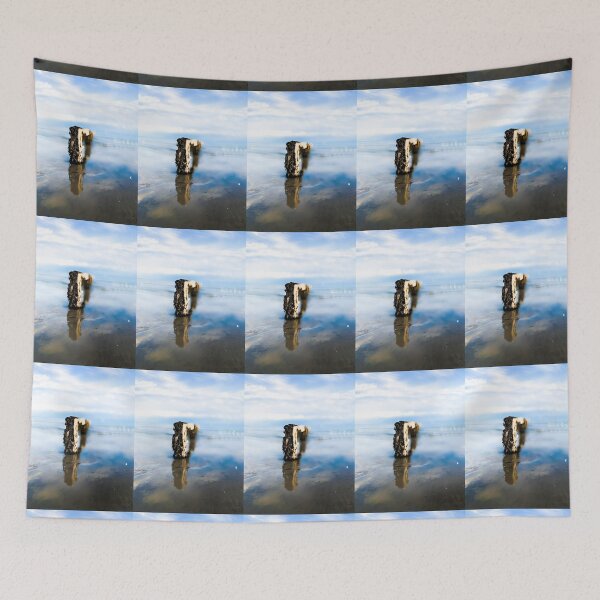 Item preview, Seaweed on Fence at the Beach designed and sold by IBMClothing.