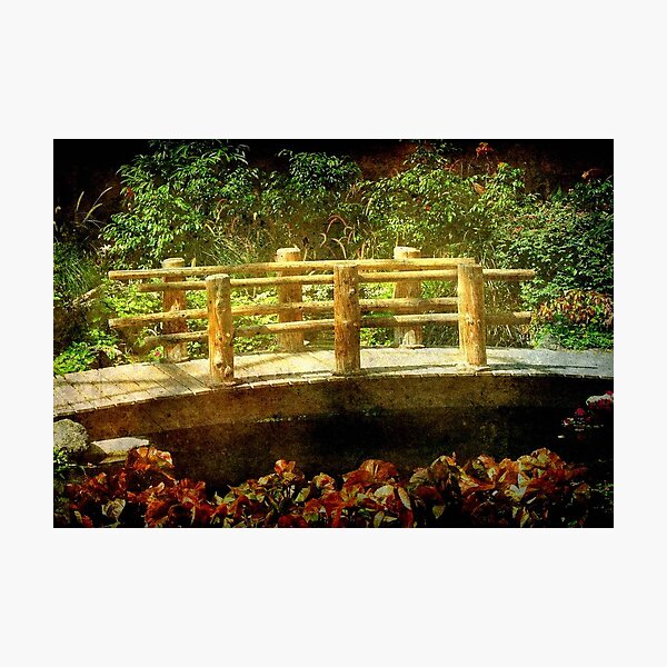 Nature's Garden © Photographic Print