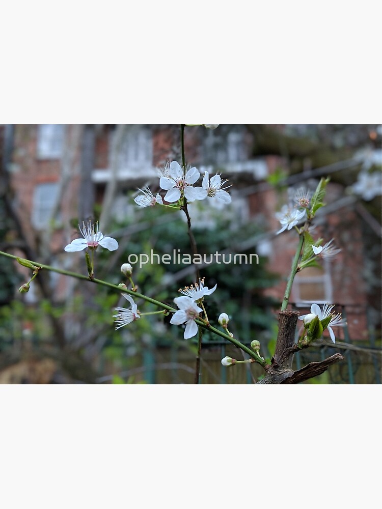 Spring in Hampstead Heath by opheliaautumn