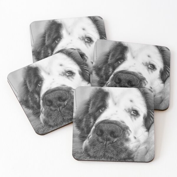 Item preview, Black and white Beautiful Saint Bernard puppy relaxing designed and sold by HaleyRedshaw.