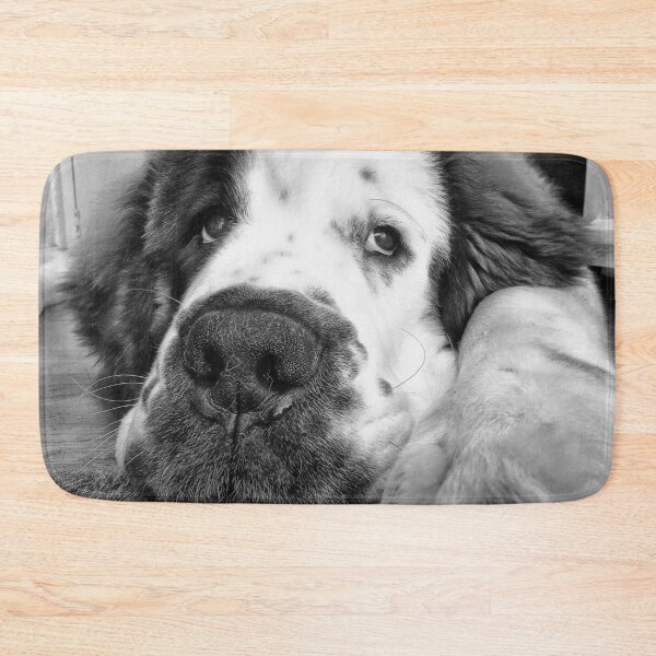 Item preview, Black and white Beautiful Saint Bernard puppy relaxing designed and sold by HaleyRedshaw.