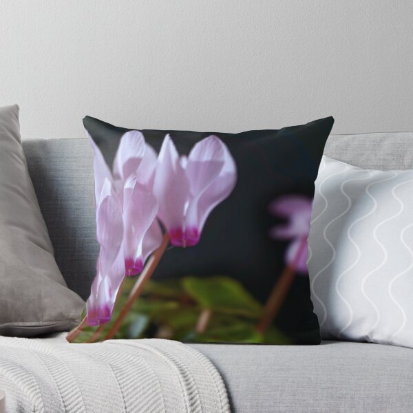 Item preview, Cyclamen designed and sold by David  Hibberd.