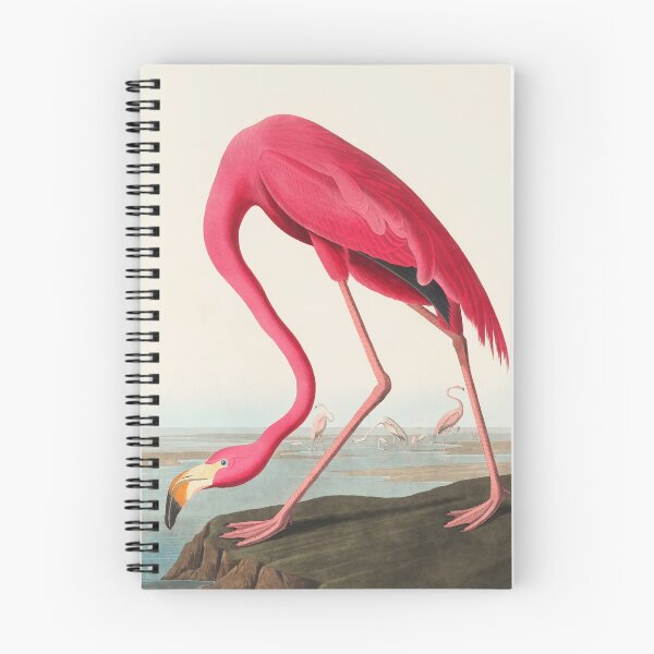 Item preview, American Flamingo-Audubon Birds Of Amercia designed and sold by DigitalEffects.