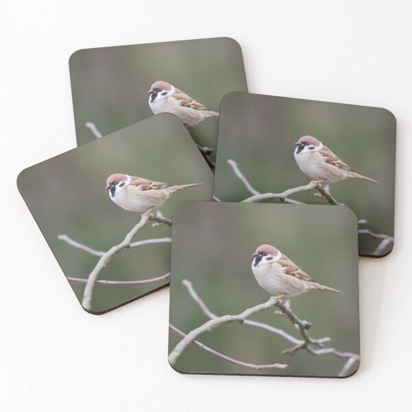 Item preview, The bold Eurasian tree sparrow designed and sold by Jouko Lehto Photography.