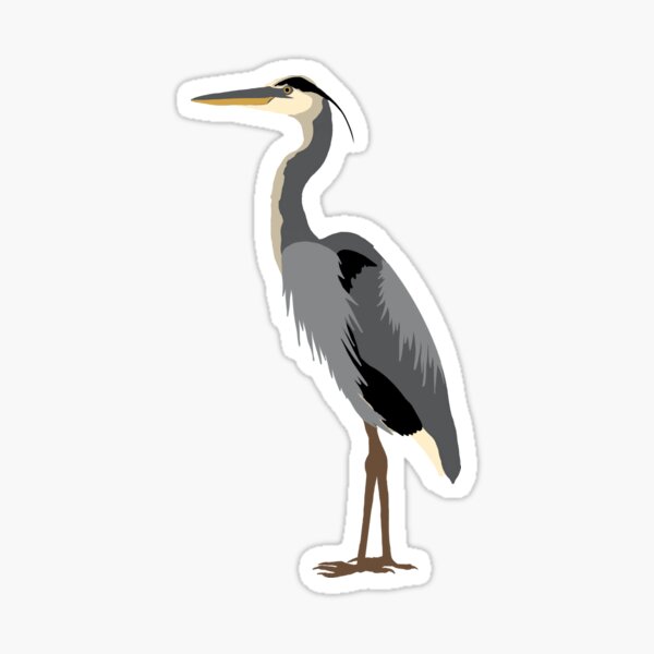 Great Blue Heron Sticker