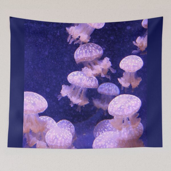 Item preview, The Joy of Jellyfish.  Amazing oceans. designed and sold by picturedlcphoto.