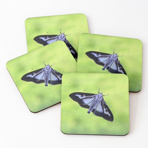 Item preview, Box Tree Moth designed and sold by pinkal.