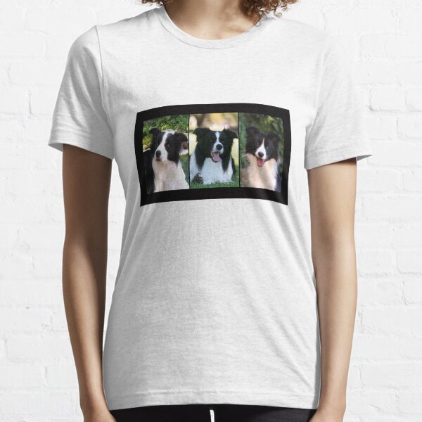 Item preview, Border Collies designed and sold by Globalphotos.