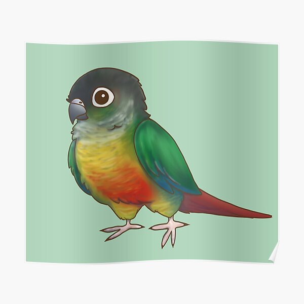 Pineapple Green Cheek Conure Print Flying Bird Signed Limited Edition Parrot  Image painting handmade  Parrot image Conure Parrot painting