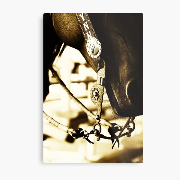 Vaquero Style Metal Print