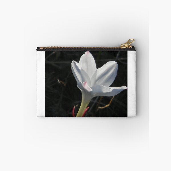 Item preview, Newly Bloomed designed and sold by Navigator.