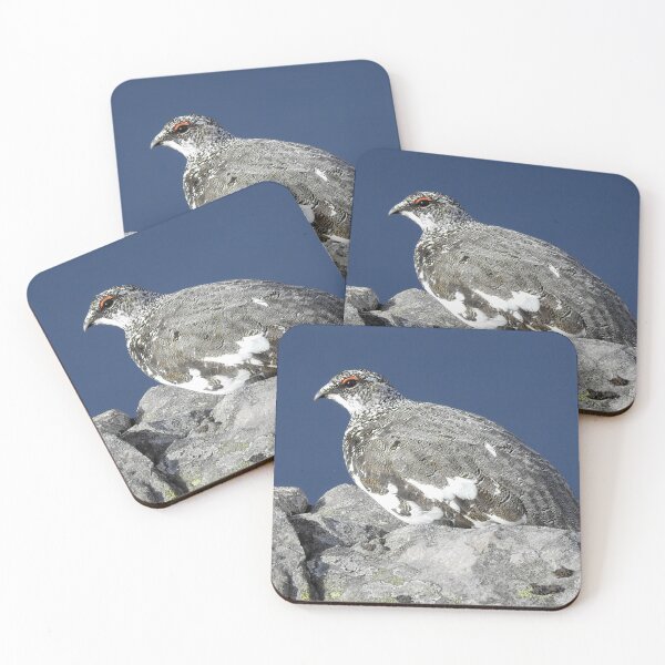 Item preview, Scotland: Ptarmigan on the Pap of Glencoe designed and sold by Rob Parsons (Just a Walker with a Camera).