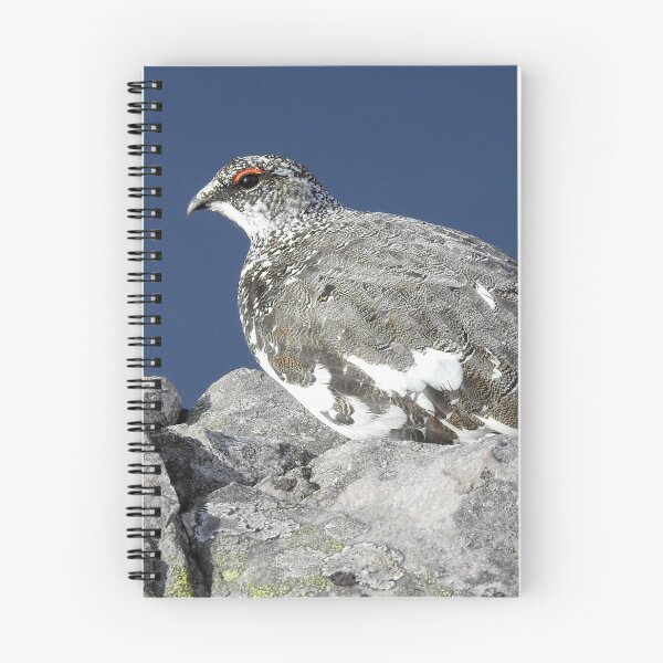 Item preview, Scotland: Ptarmigan on the Pap of Glencoe designed and sold by Rob Parsons (Just a Walker with a Camera).
