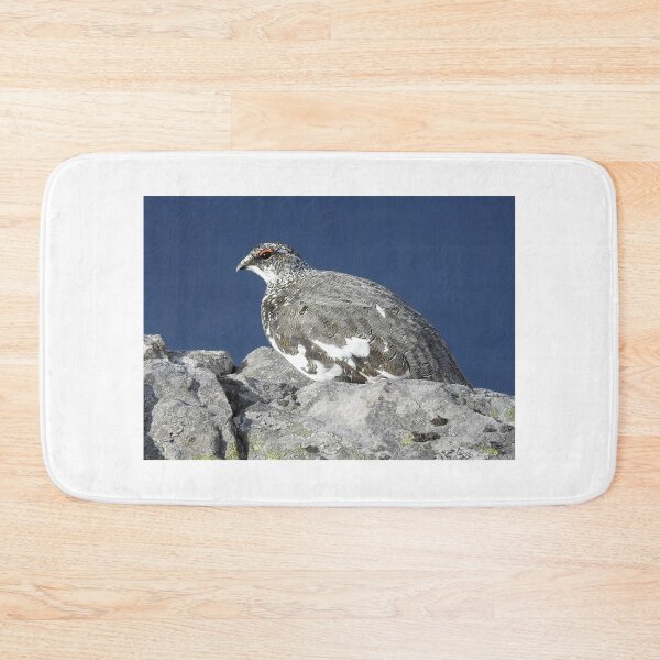 Item preview, Scotland: Ptarmigan on the Pap of Glencoe designed and sold by Rob Parsons (Just a Walker with a Camera).