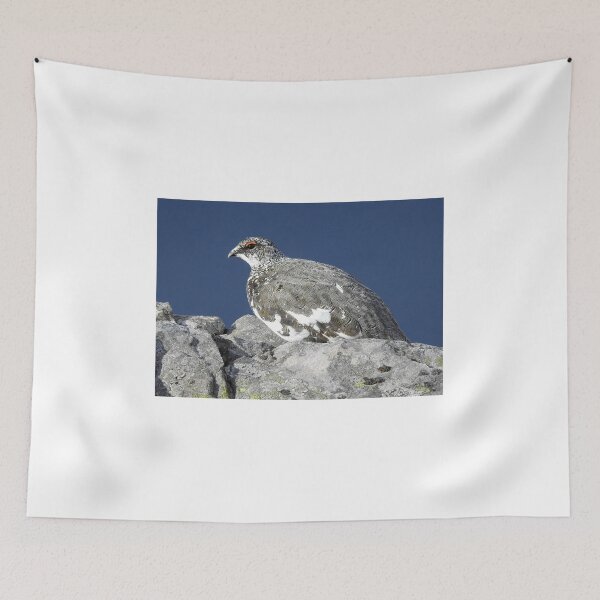 Item preview, Scotland: Ptarmigan on the Pap of Glencoe designed and sold by Rob Parsons (Just a Walker with a Camera).