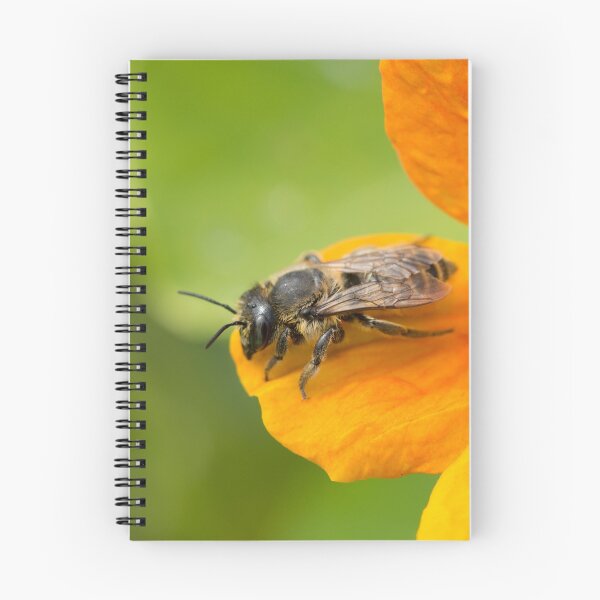Item preview, Leafcutter bee on orange flower designed and sold by AnnoraBee.